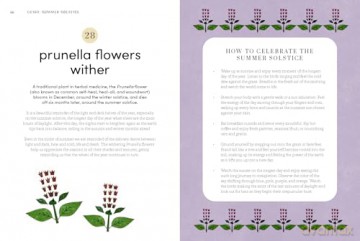 Microseasons: A Slow-Living Guide to the Year Following the Traditional Japanese Calendar - Tiffany Francis-Baker [KSIĄŻKA]