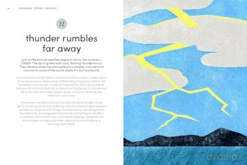 Microseasons: A Slow-Living Guide to the Year Following the Traditional Japanese Calendar - Tiffany Francis-Baker [KSIĄŻKA]