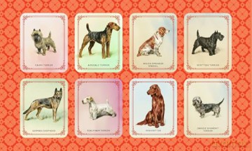 Vintage Dogs: A Guidebook and Matching Game - David Alderton [KSIĄŻKA]