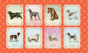 Vintage Dogs: A Guidebook and Matching Game - David Alderton [KSIĄŻKA]