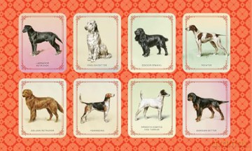 Vintage Dogs: A Guidebook and Matching Game - David Alderton [KSIĄŻKA]