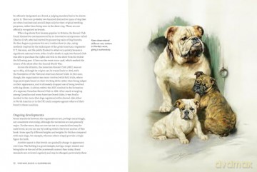 Vintage Dogs: A Guidebook and Matching Game - David Alderton [KSIĄŻKA]