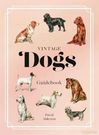 Vintage Dogs: A Guidebook and Matching Game - David Alderton [KSIĄŻKA]
