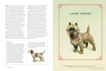 Vintage Dogs: A Guidebook and Matching Game - David Alderton [KSIĄŻKA]