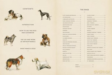 Vintage Dogs: A Guidebook and Matching Game - David Alderton [KSIĄŻKA]
