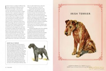 Vintage Dogs: A Guidebook and Matching Game - David Alderton [KSIĄŻKA]