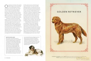 Vintage Dogs: A Guidebook and Matching Game - David Alderton [KSIĄŻKA]