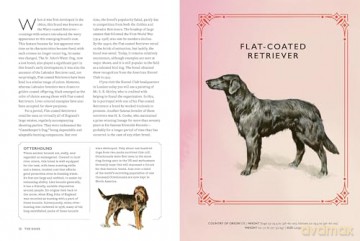Vintage Dogs: A Guidebook and Matching Game - David Alderton [KSIĄŻKA]