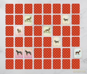 Vintage Dogs: A Guidebook and Matching Game - David Alderton [KSIĄŻKA]
