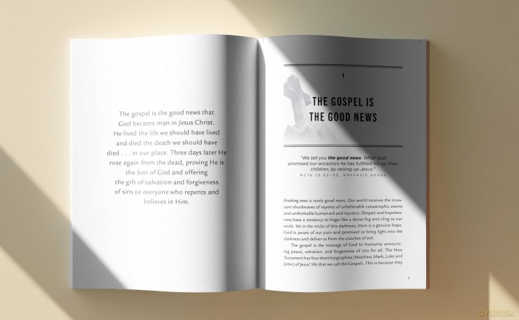 PURPLE BASICS OF GOSPEL SC: Understanding the Message of the Gospel in the New Testament - Rice Broocks [KSIĄŻKA]