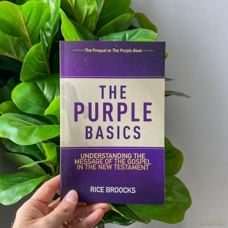 PURPLE BASICS OF GOSPEL SC: Understanding the Message of the Gospel in the New Testament - Rice Broocks [KSIĄŻKA]