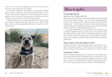Follow My Lead: UK Walking Adventures for You and Your Dog - Emily Gill [KSIĄŻKA]