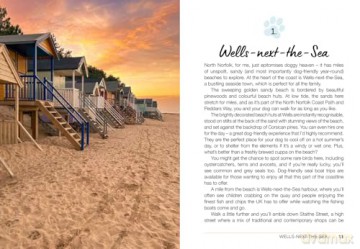 Follow My Lead: UK Walking Adventures for You and Your Dog - Emily Gill [KSIĄŻKA]