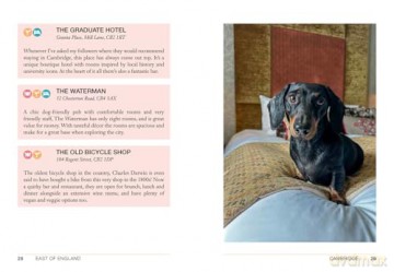 Follow My Lead: UK Walking Adventures for You and Your Dog - Emily Gill [KSIĄŻKA]