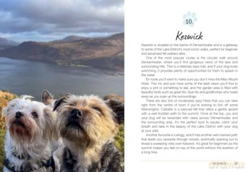 Follow My Lead: UK Walking Adventures for You and Your Dog - Emily Gill [KSIĄŻKA]