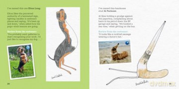 More Rubbish Pet Portraits: THE NEW BOOK FROM THE SUNDAY TIMES BESTSELLER HERCULE VAN WOLFWINKLE - Hercule Van Wolfwinkle [KSIĄŻKA]