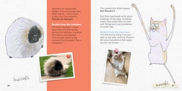 More Rubbish Pet Portraits: THE NEW BOOK FROM THE SUNDAY TIMES BESTSELLER HERCULE VAN WOLFWINKLE - Hercule Van Wolfwinkle [KSIĄŻKA]