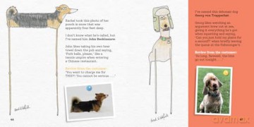 More Rubbish Pet Portraits: THE NEW BOOK FROM THE SUNDAY TIMES BESTSELLER HERCULE VAN WOLFWINKLE - Hercule Van Wolfwinkle [KSIĄŻKA]