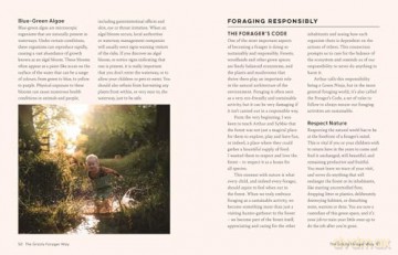 The Grizzly Forager's Guide to Family Foraging: Embrace Nature, Find Food and Discover Your Wild Side! - John Shahabeddin [KSIĄŻKA]