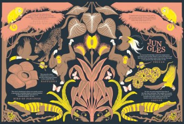 Nature: The stunning new illustrated book all about animals, plants and the world! - Manon Bucciarelli [KSIĄŻKA]