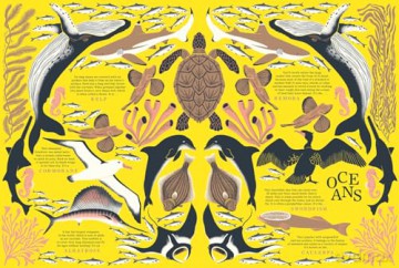 Nature: The stunning new illustrated book all about animals, plants and the world! - Manon Bucciarelli [KSIĄŻKA]