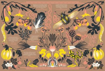 Nature: The stunning new illustrated book all about animals, plants and the world! - Manon Bucciarelli [KSIĄŻKA]