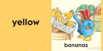 Paddington: Colours: Learn colours with Paddington Bear in this fun new board book for babies and toddlers! - Michael Bond [KSIĄŻKA]