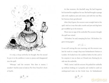 Pernickety Boo: A beautifully illustrated, magical, fantasy adventure for kids aged 7+ - Sally Gardner [KSIĄŻKA]