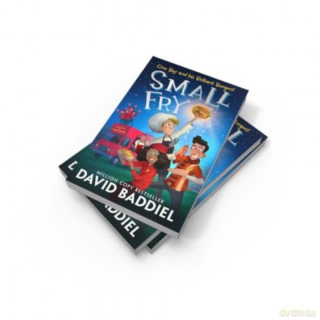 Small Fry: The hilarious and heart-warming new illustrated novel from million-copy bestselling author David Baddiel. Perfect for kids aged 8 plus - David Baddiel [KSIĄŻKA]