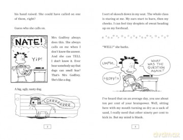 The Boy with the Biggest Head in the World: Hilarious comic-book-style story for kids aged 9+: Book 1 (Big Nate) - Lincoln Peirce [KSIĄŻKA]