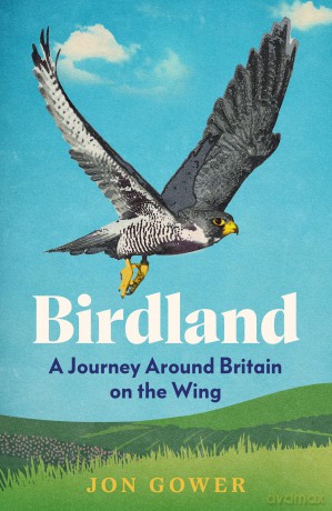 Birdland: A Journey Around Britain on the Wing - Jon Gower [KSIĄŻKA]