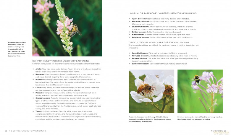 The Complete Guide to Making Mead, Updated Edition: The Ingredients, Equipment, Processes, and Recipes for Crafting Honey Wine - Steve Piatz [KSIĄŻKA]