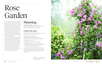 Martha Stewart's Gardening Handbook: The Essential Guide to Designing, Planting, and Growing-Martha Stewart's Handbook For Growing Beautiful Plants and Vegetables - Martha Stewart [KSIĄŻKA]