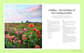 Martha Stewart's Gardening Handbook: The Essential Guide to Designing, Planting, and Growing-Martha Stewart's Handbook For Growing Beautiful Plants and Vegetables - Martha Stewart [KSIĄŻKA]
