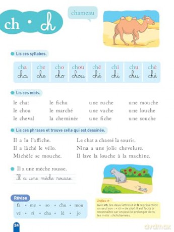 Ma méthode de lecture syllabique - nouveau programme - Clémentine Delile [KSIĄŻKA]