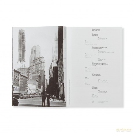 Arshile Gorky: New York City - Ben Easton [KSIĄŻKA]