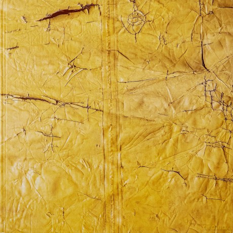 David Hammons - David Hammons [KSIĄŻKA]