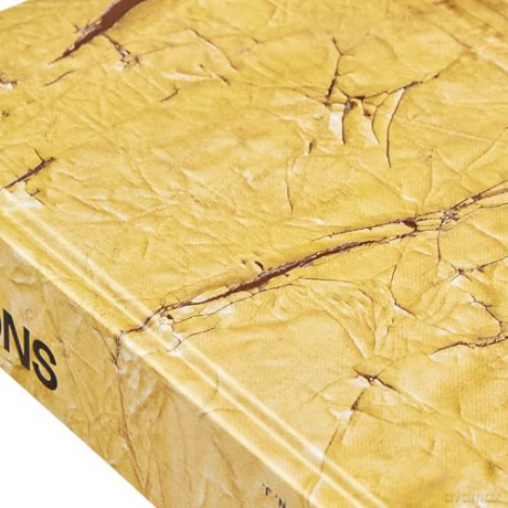 David Hammons - David Hammons [KSIĄŻKA]