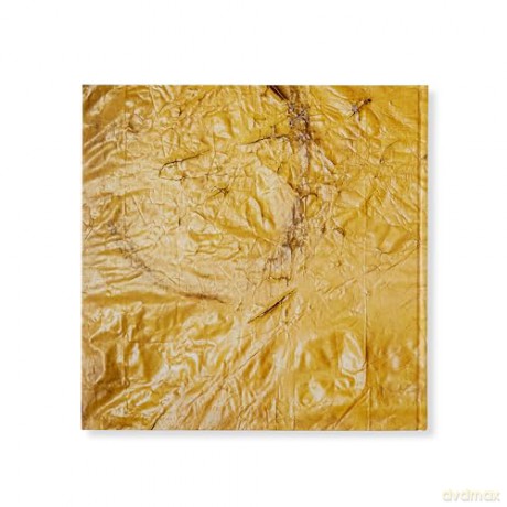 David Hammons - David Hammons [KSIĄŻKA]