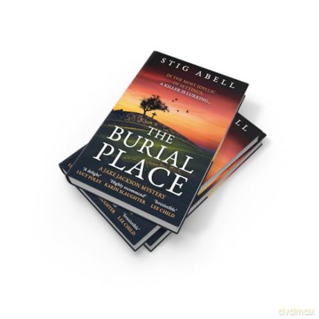 The Burial Place: A beautifully written, escapist new crime mystery detective thriller that will keep you hooked: Book 3 (Jake Jackson) - Stig Abell [KSIĄŻKA]