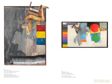 Focal Points: Jasper Johns - Robert Storr [KSIĄŻKA]