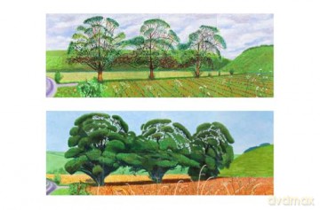 The Hockney Interviews - David Hockney [KSIĄŻKA]
