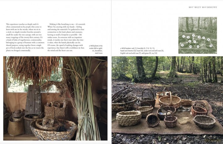 Wild Basketry: Making Baskets and Natural Cordage from Foraged Plants - Ruby Taylor [KSIĄŻKA]