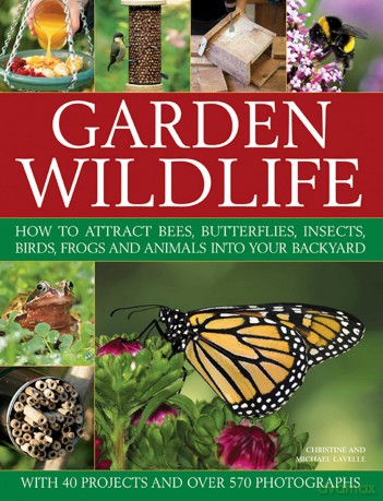 Garden Wildlife: How to Attract Bees, Butterflies, Insects, Birds, Frogs and Animals into Your Backyard - Christine Lavelle [KSIĄŻKA]