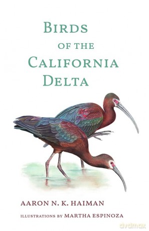 Birds of the California Delta (The Birds of California) - Aaron N.K. Haiman [KSIĄŻKA]