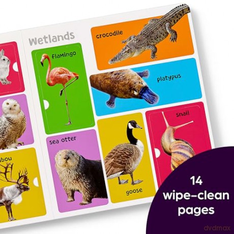 First 101 Animal Words (Highlights First 101 Words): First Words Animal Board Book, Learning to Talk Baby Book for Essential Early Language Learning - Highlights [KSIĄŻKA]