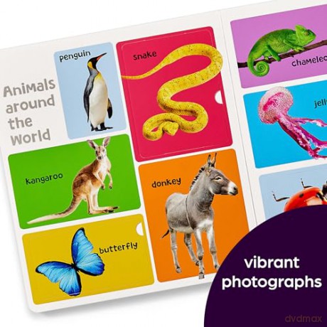 First 101 Animal Words (Highlights First 101 Words): First Words Animal Board Book, Learning to Talk Baby Book for Essential Early Language Learning - Highlights [KSIĄŻKA]