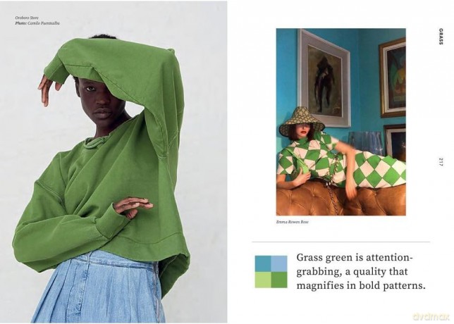 Fashion Palettes: Color Inspiration, Meaning and Mood - Lauren Wager [KSIĄŻKA]