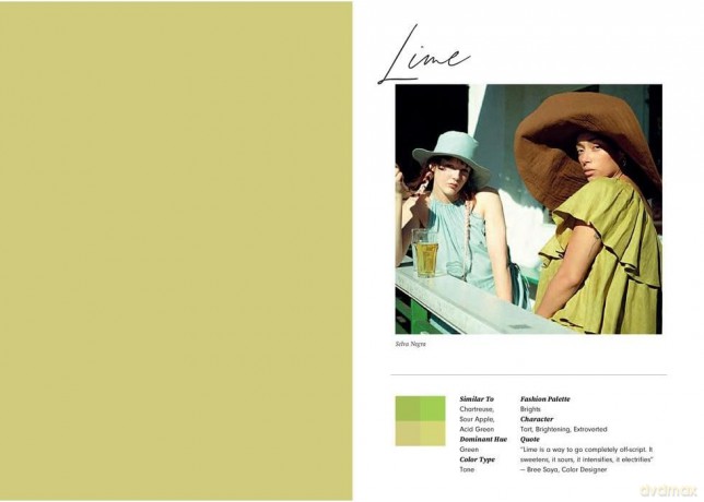 Fashion Palettes: Color Inspiration, Meaning and Mood - Lauren Wager [KSIĄŻKA]