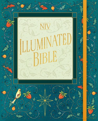NIV Illuminated Bible - New International Version [KSIĄŻKA]